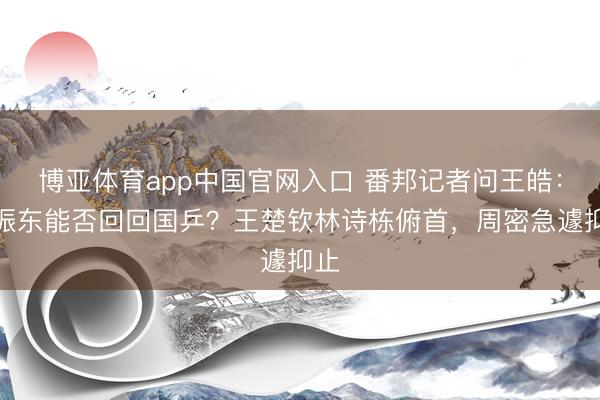 博亚体育app中国官网入口 番邦记者问王皓：樊振东能否回回国乒？王楚钦林诗栋俯首，周密急遽抑止