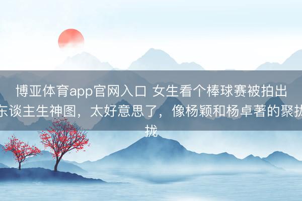 博亚体育app官网入口 女生看个棒球赛被拍出东谈主生神图,太好意思了,像杨颖和杨卓著的聚拢