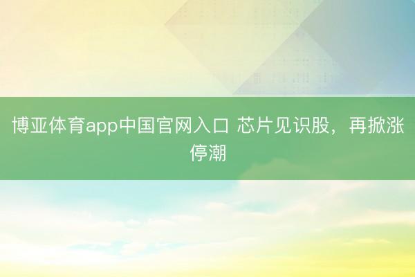 博亚体育app中国官网入口 芯片见识股，再掀涨停潮
