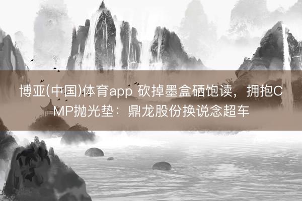 博亚(中国)体育app 砍掉墨盒硒饱读，拥抱CMP抛光垫：鼎龙股份换说念超车