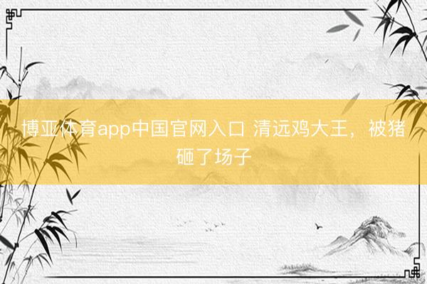 博亚体育app中国官网入口 清远鸡大王，被猪砸了场子