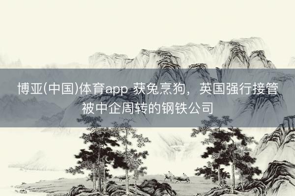 博亚(中国)体育app 获兔烹狗,英国强行接管被中企周转的钢铁公司