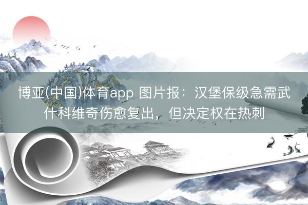 博亚(中国)体育app 图片报:汉堡保级急需武什科维奇伤愈复出,但决定权在热刺