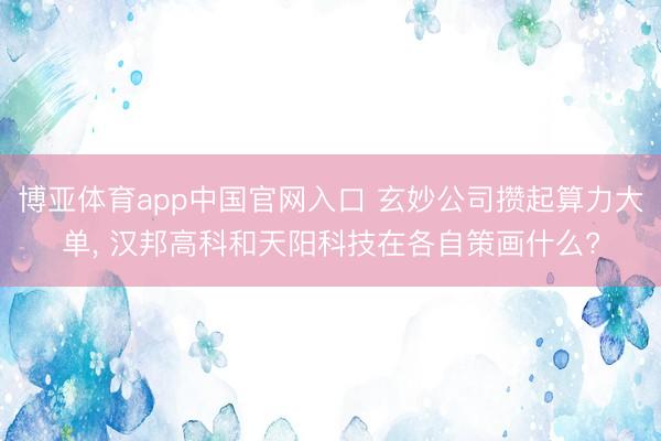 博亚体育app中国官网入口 玄妙公司攒起算力大单， 汉邦高科和天阳科技在各自策画什么?