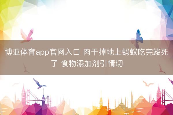 博亚体育app官网入口 肉干掉地上蚂蚁吃完竣死了 食物添加剂引情切