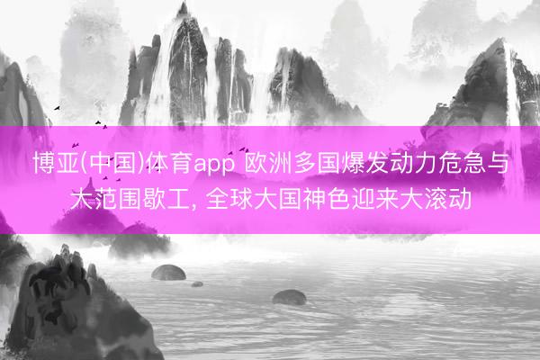 博亚(中国)体育app 欧洲多国爆发动力危急与大范围歇工, 