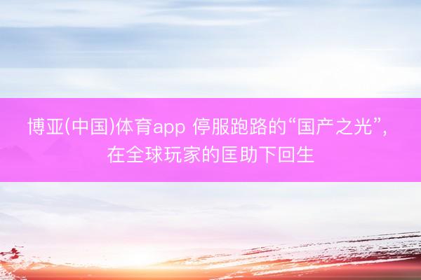 博亚(中国)体育app 停服跑路的“国产之光”， 在全球玩家的匡助下回生