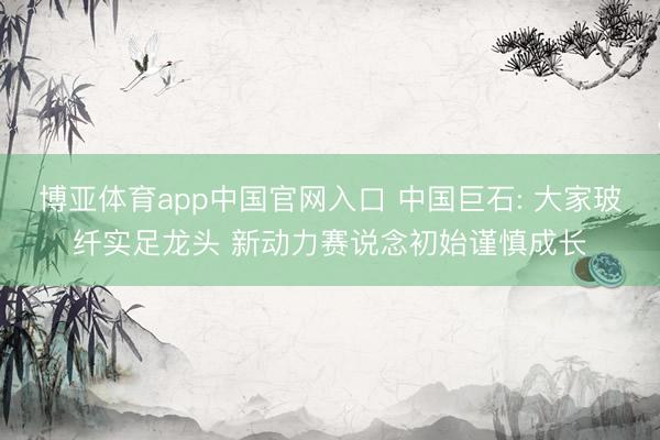 博亚体育app中国官网入口 中国巨石: 大家玻纤实足龙头 新动力赛说念初始谨慎成长