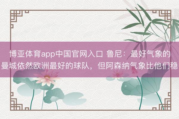 博亚体育app中国官网入口 鲁尼：最好气象的曼城依然欧洲最好的球队，但阿森纳气象比他们稳