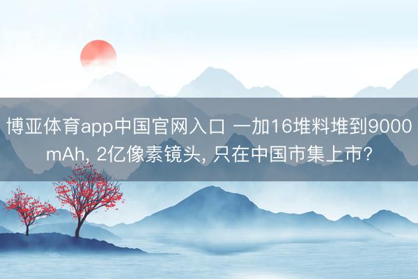 博亚体育app中国官网入口 一加16堆料堆到9000mAh， 2亿像素镜头， 只在中国市集上市?