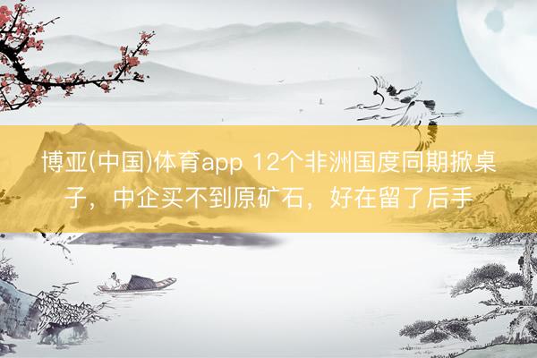 博亚(中国)体育app 12个非洲国度同期掀桌子，中企买不到原矿石，好在留了后手