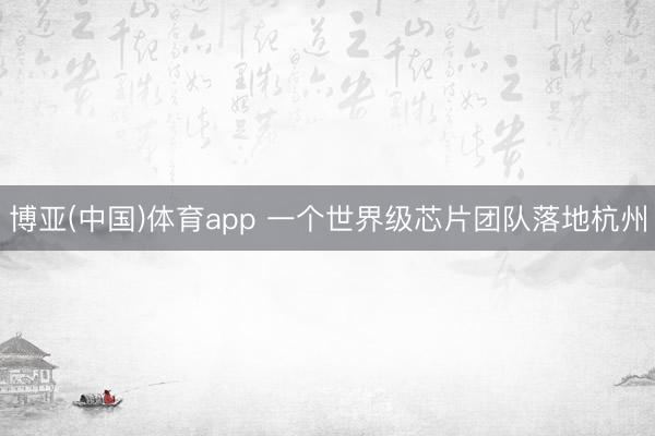 博亚(中国)体育app 一个世界级芯片团队落地杭州