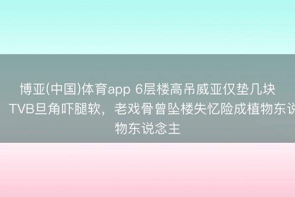 博亚(中国)体育app 6层楼高吊威亚仅垫几块泡沫！TVB旦角吓腿软，老戏骨曾坠楼失忆险成植物东说念主
