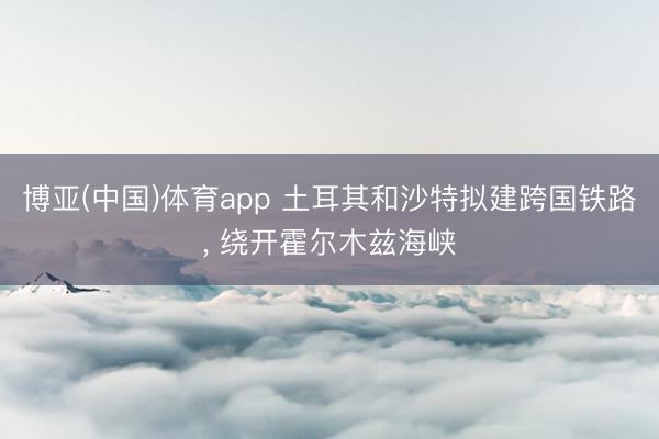 博亚(中国)体育app 土耳其和沙特拟建跨国铁路， 绕开霍尔木兹海峡